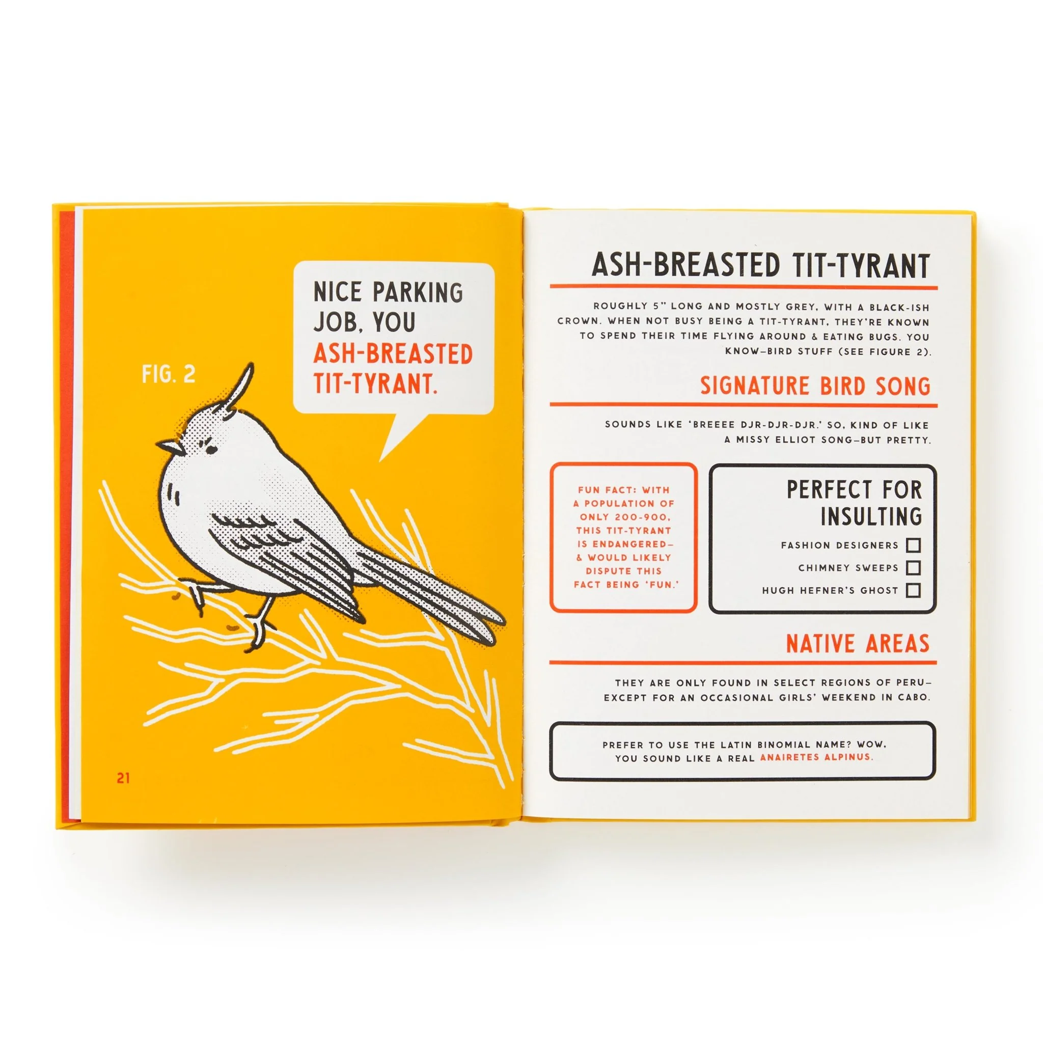 An Illustrated Guide to Birds that Sound like Insults - Image 6