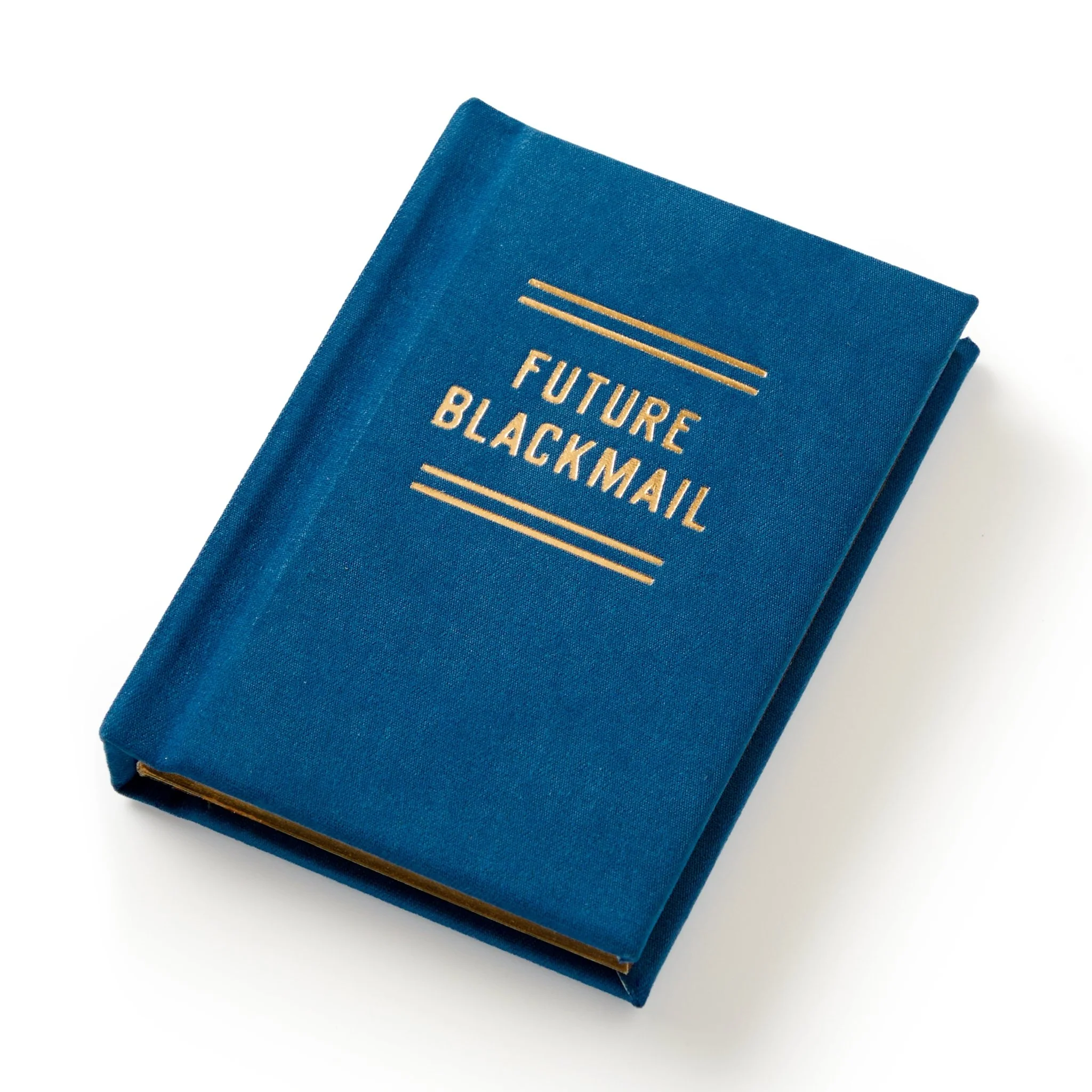 Future Blackmail Tiny Diary - Image 7