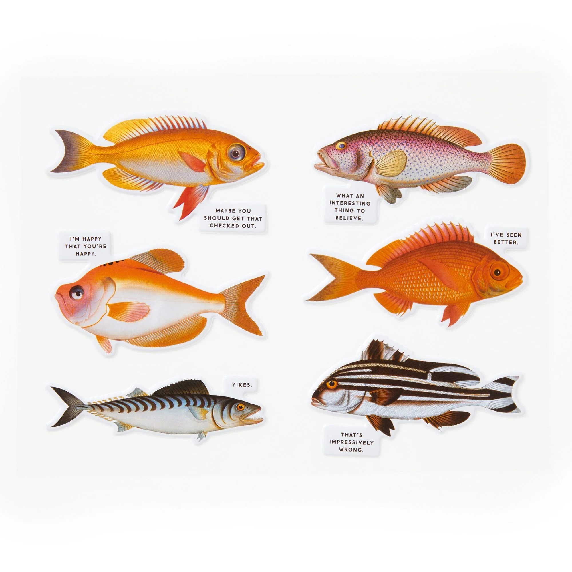 Judgy Fish 1000 Piece Puzzle - Image 6