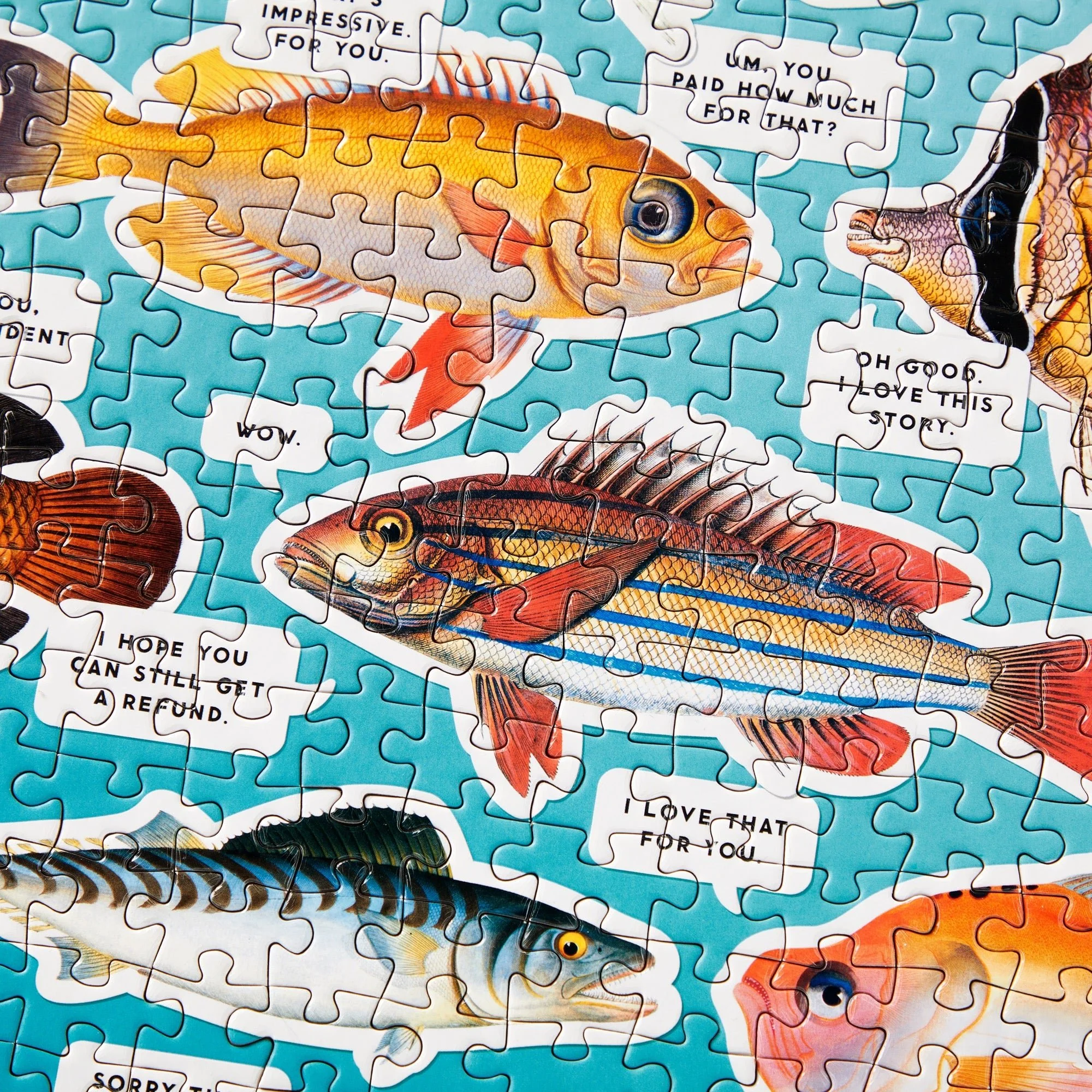 Judgy Fish 1000 Piece Puzzle - Image 8