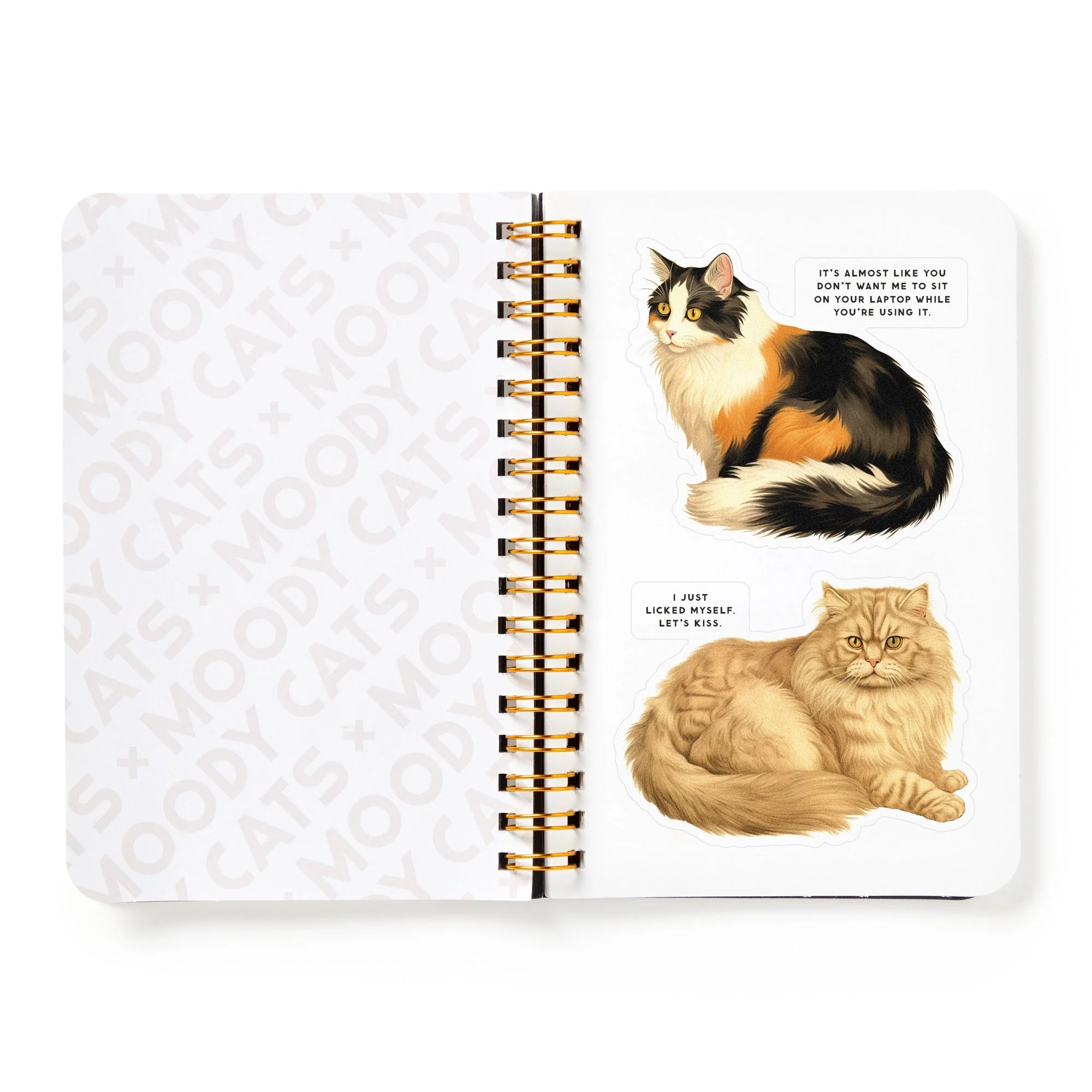 Moody Cats Sticker Book - Image 8