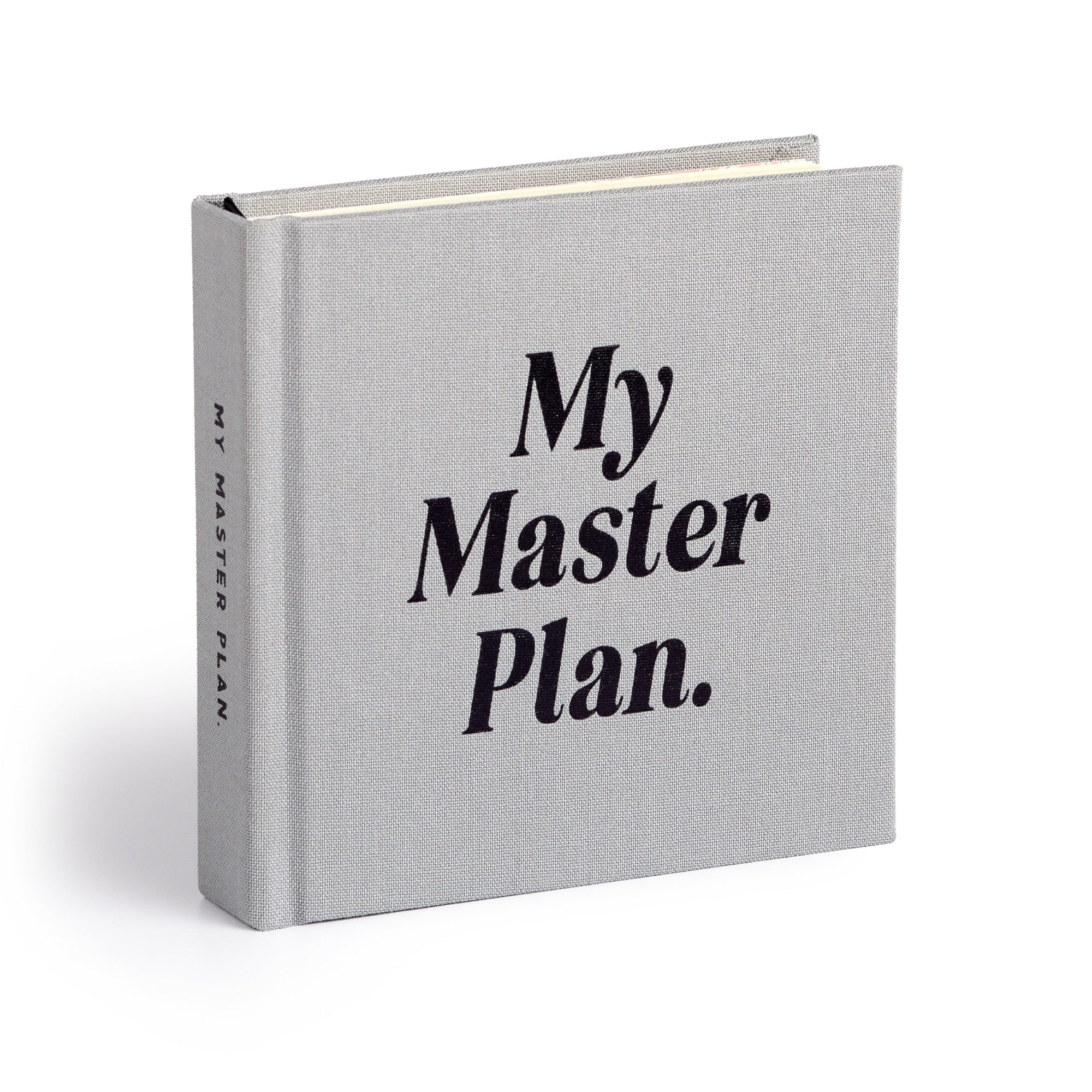 My Master Plan Productivity Guide - Image 3