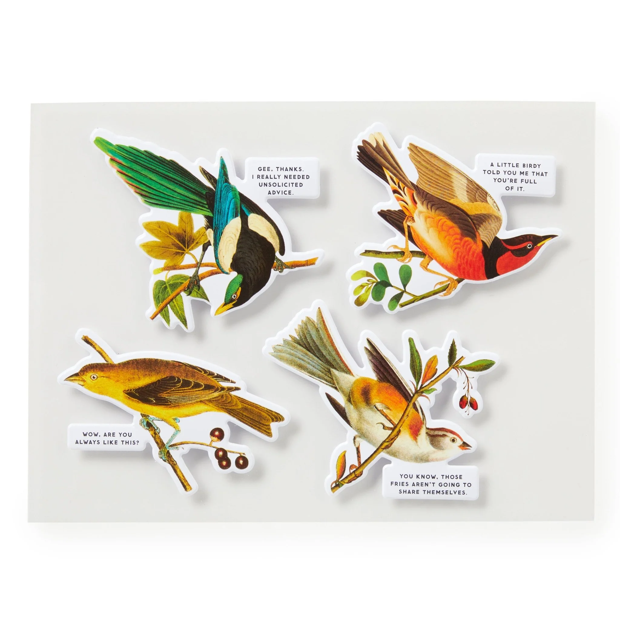 Salty Birds 1000 Piece Puzzle - Image 5