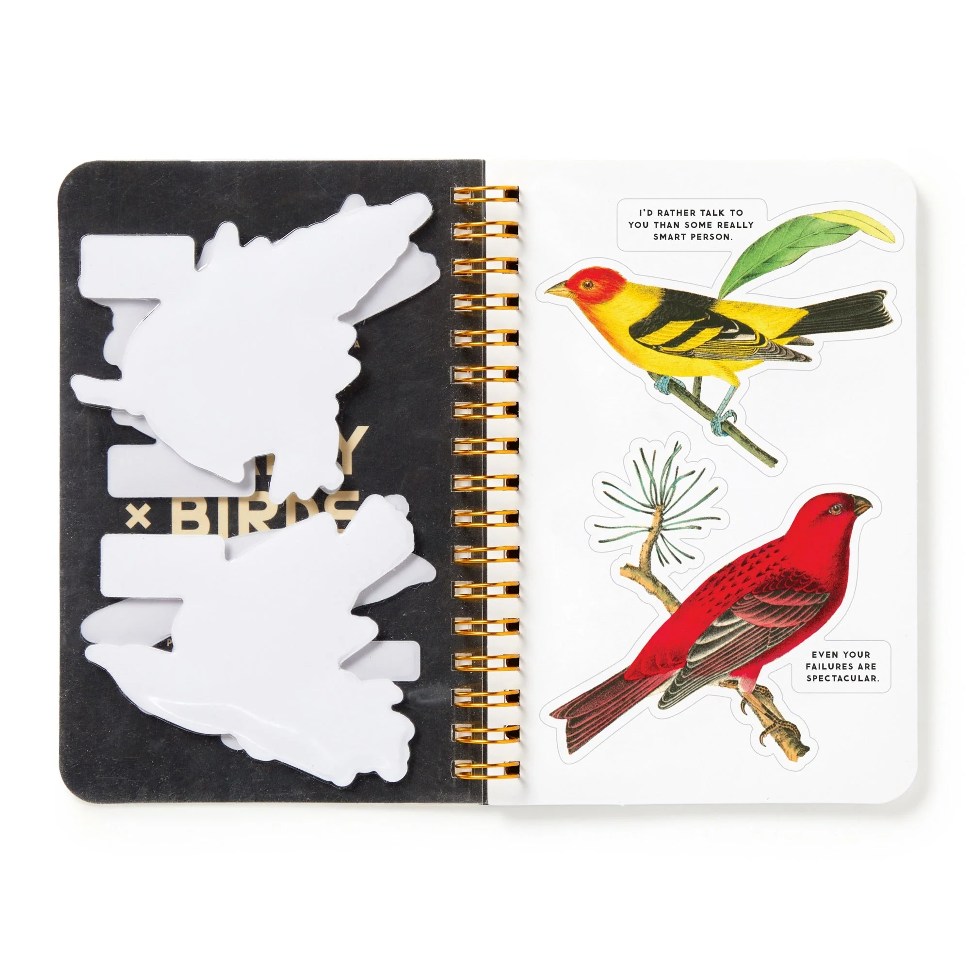 Salty Birds Sticker Book - Image 6