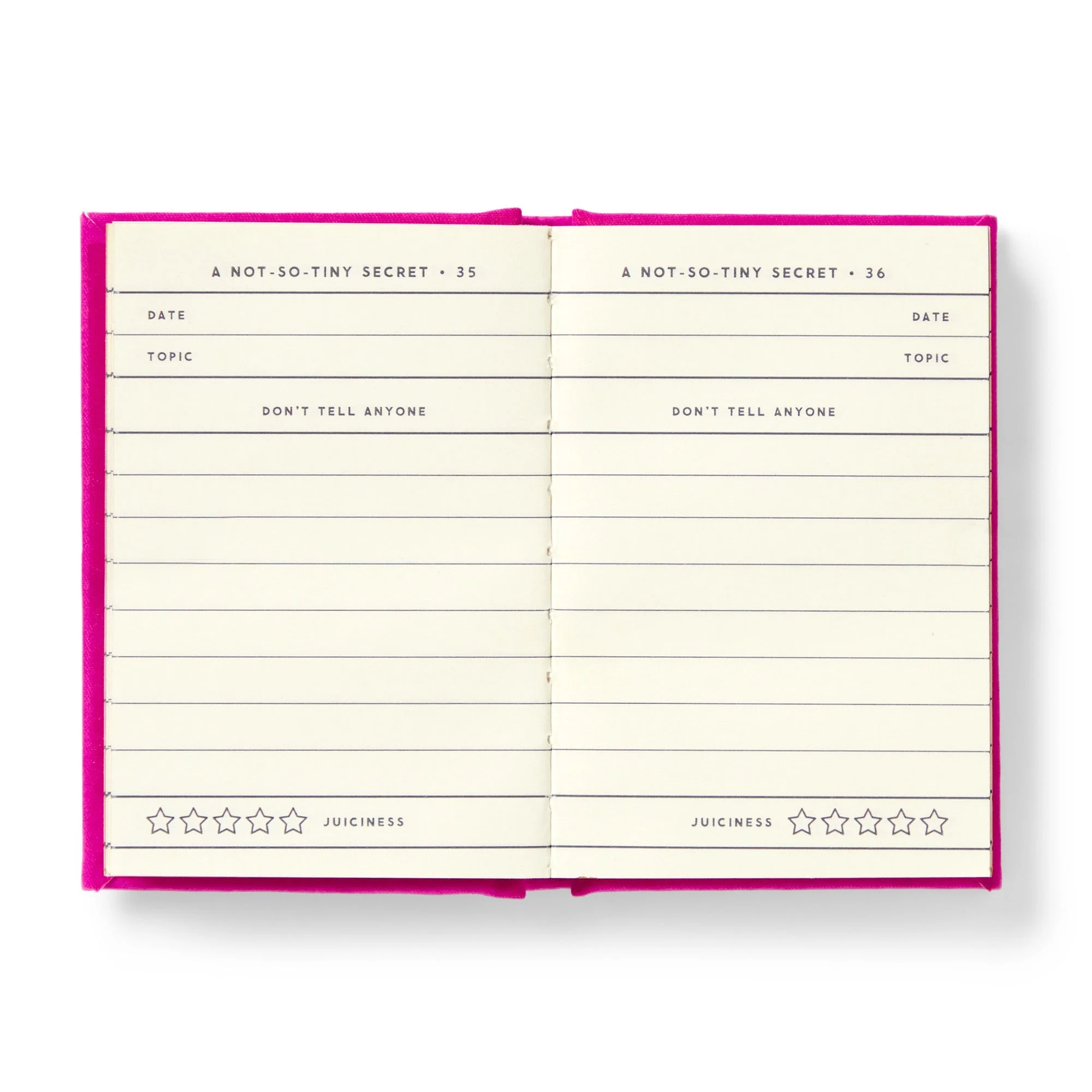 Tiny Diary for Not So Tiny Secrets - Image 4