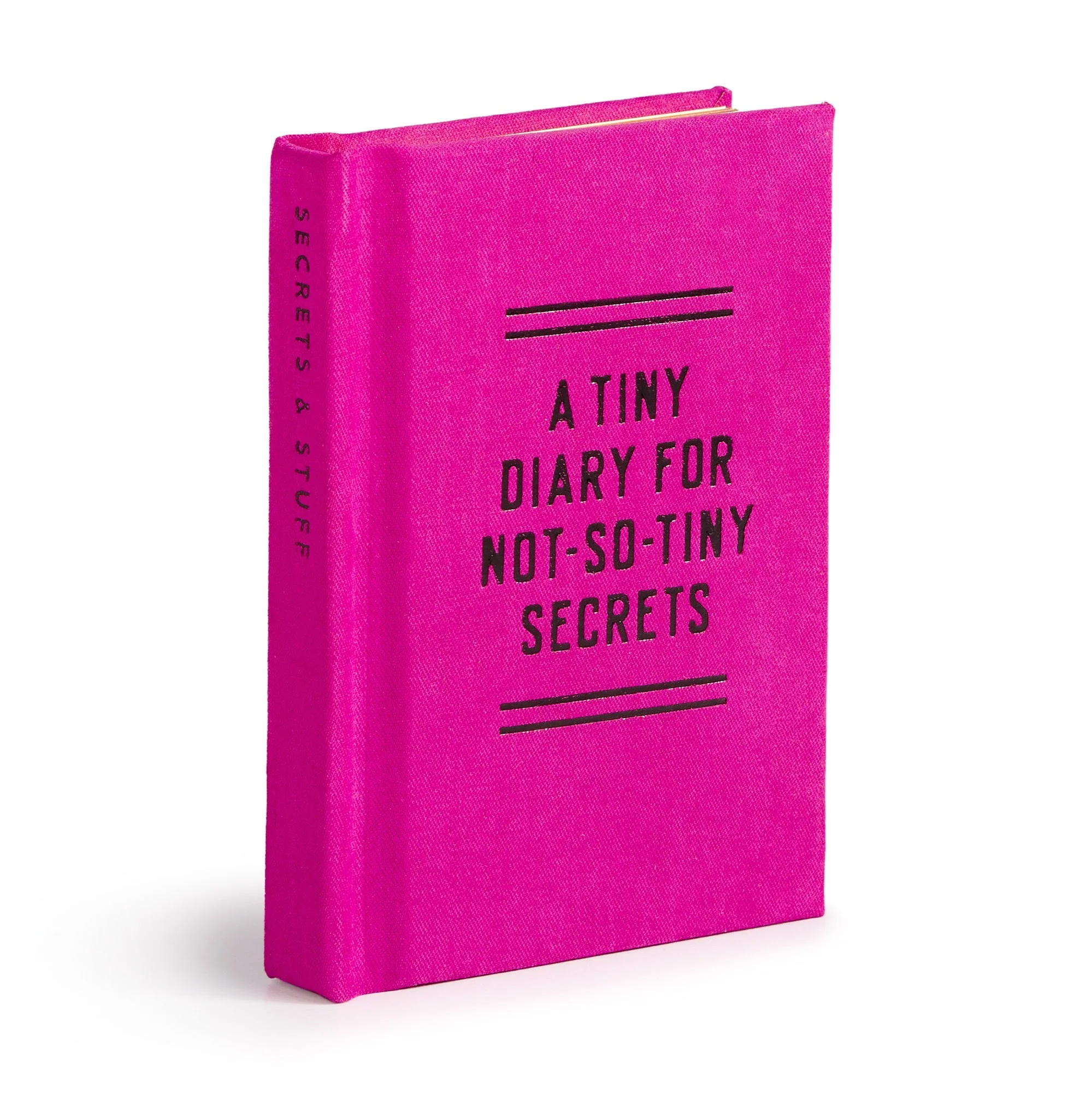 Tiny Diary for Not So Tiny Secrets - Image 6