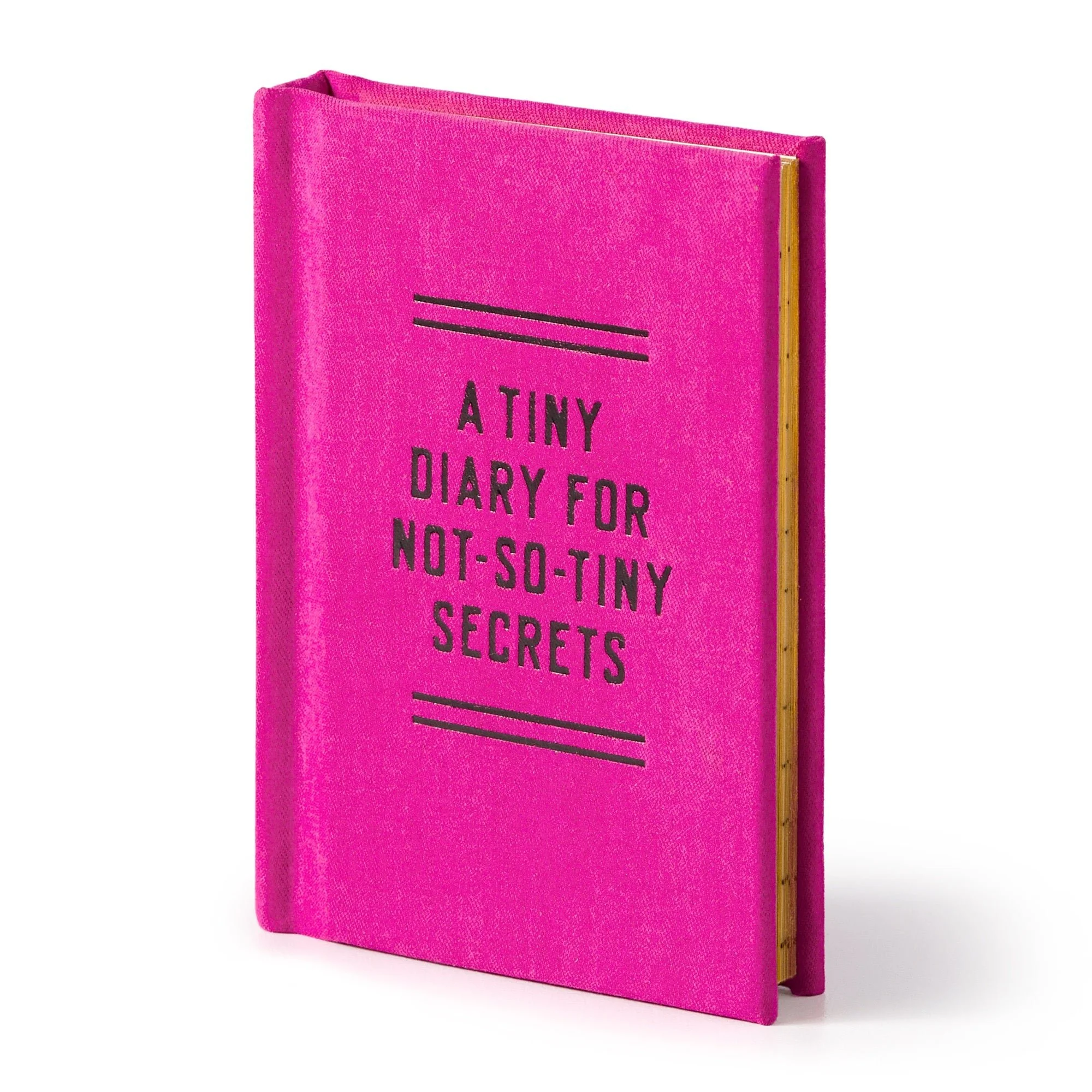 Tiny Diary for Not So Tiny Secrets - Image 7